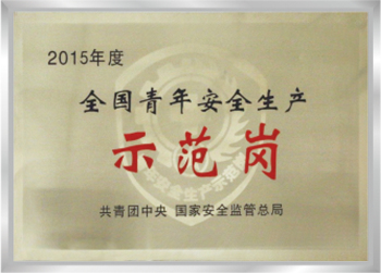 全国青年安全生产示范岗.jpg